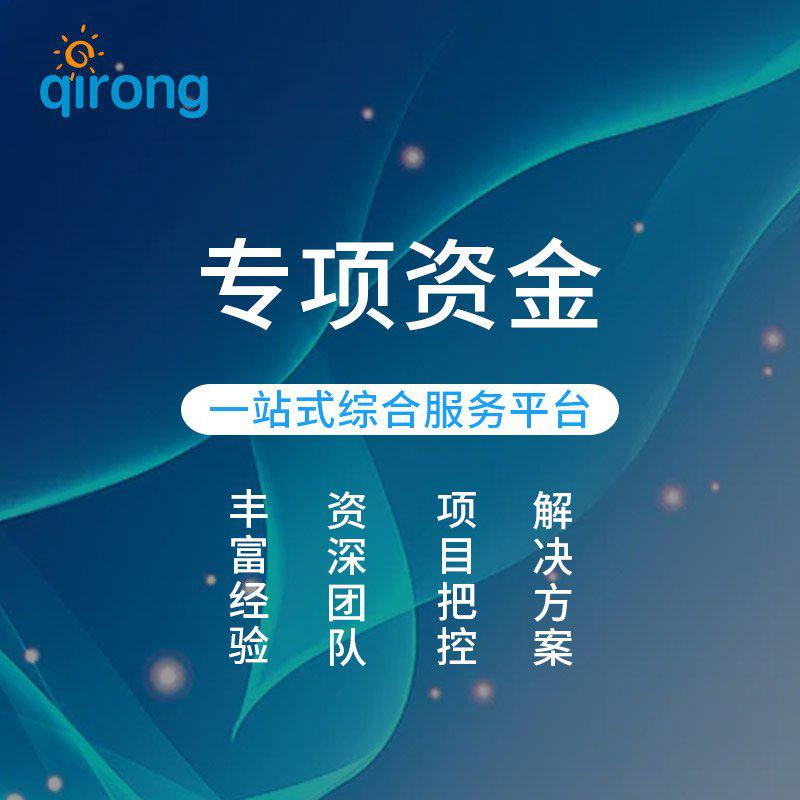 专项资金
